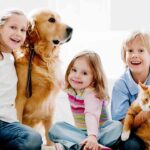 Animal Owners and Children: Can They Make Perfect Babies