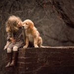 Cuteness and Animal Empathy