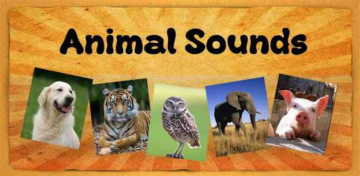 Recording Sounds From Natural Animals